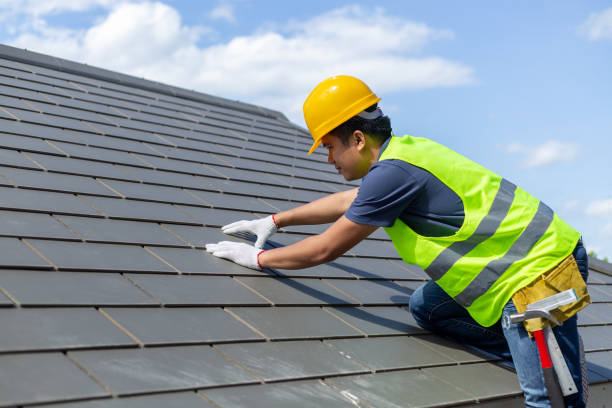 Best Roof Gutter Cleaning  in Mount Vernon, MD