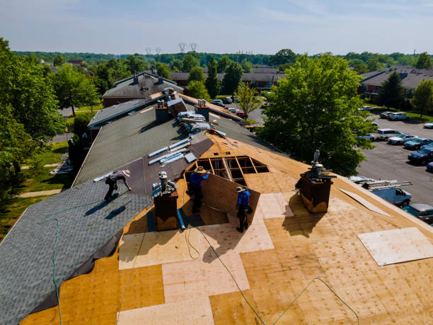 Roof Gutter Cleaning in Mount Vernon, MD