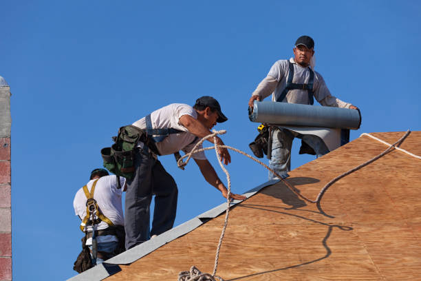 Best Storm Damage Roof Repair  in Mount Vernon, MD