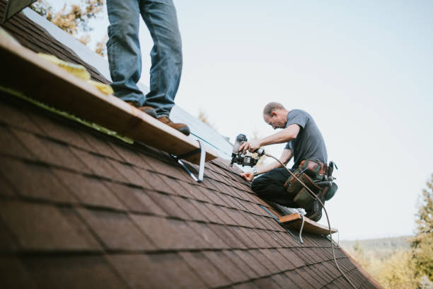 Best Emergency Roof Repair  in Mount Vernon, MD