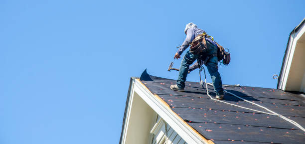 Best Residential Roof Replacement  in Mount Vernon, MD